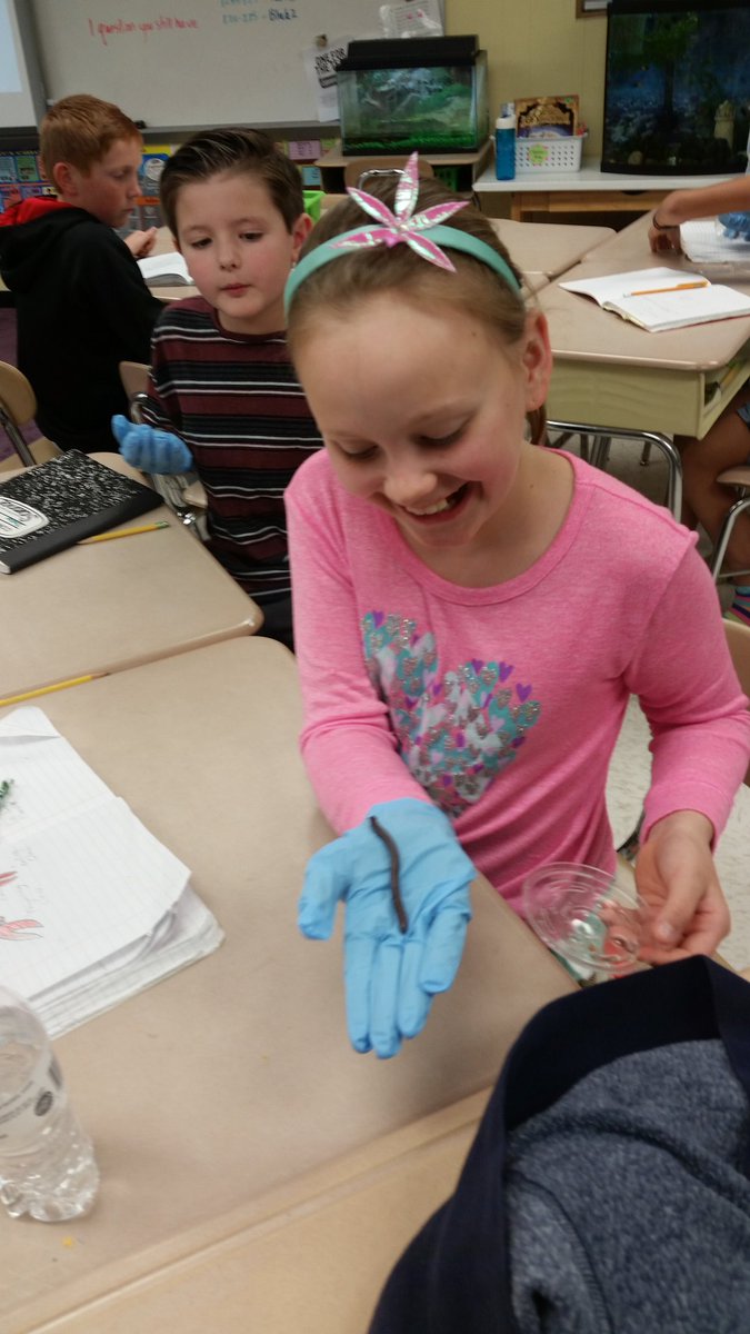 Mrs_KHef's tweet photo. More critters being studied in science. Fun! @WestLakeElem @Ms_Rombout #4L1 https://t.co/GKUjtZEsSZ