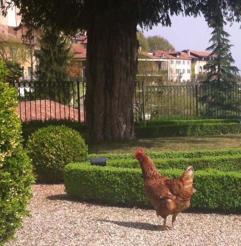 LOCANDA DELL'ARTE tweet media