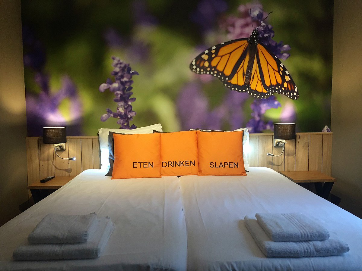 Kamer 28, 29 en 30 klaar! Met eigen terrasje, ideaal voor rokers/hondenbezitters! <a href="/CreativeBuilder/">Eric Davidson</a> <a href="/bergbestrating/">Sterinvakwerk.nl</a>
