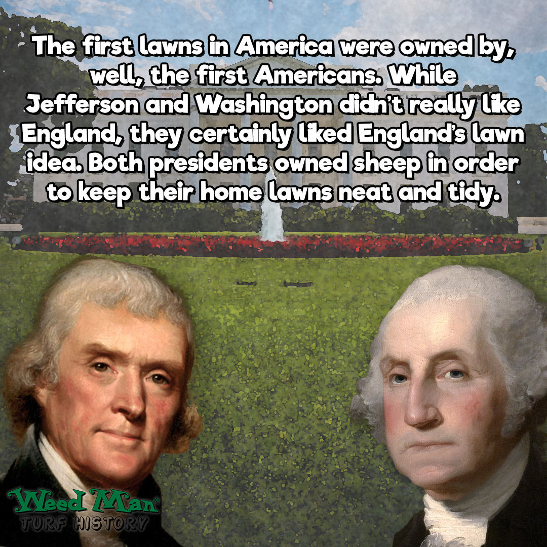 weedmanusa's tweet photo. Did you know Thomas Jefferson and George Washington both kept lawns? #tbt #TurfHistory #LawnCareMonth https://t.co/7BuVRnkQuV