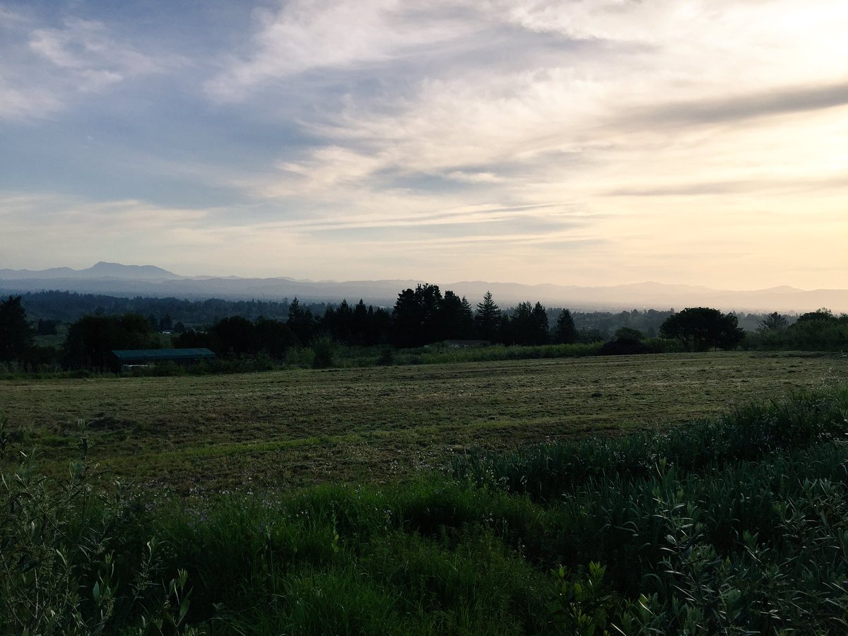 A new era on the farm. #sonomacountyflowers to #pinotnoir #sebastopolhills