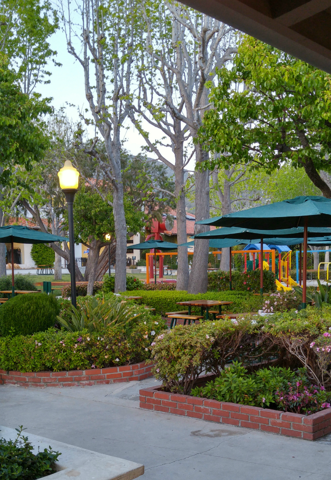 mariangrob's tweet image. God always finds #GreatPurpose in what we take for granted &amp;amp; meets us in the stillness of our soul! #DivineSetup