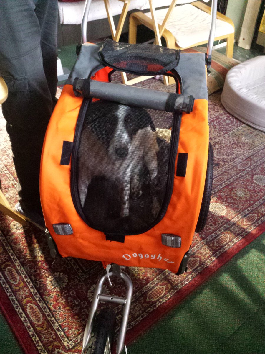 doggyhut stroller