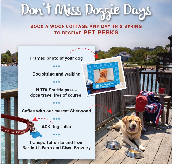 The Cottages On Twitter Book A Stay At The Woofcottages This