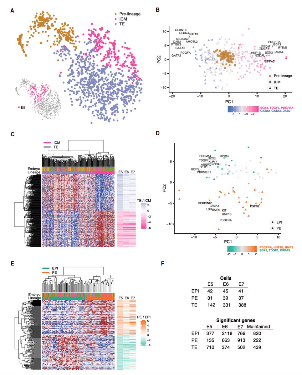 1 day in the era of single cell RNA-seq: cancer, development ...
