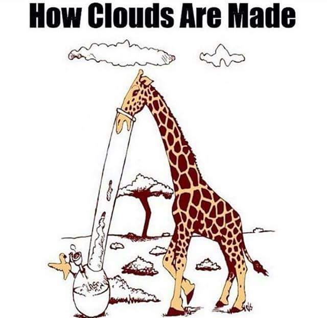 hunter burkhalter (@hunter199468) on Twitter photo 