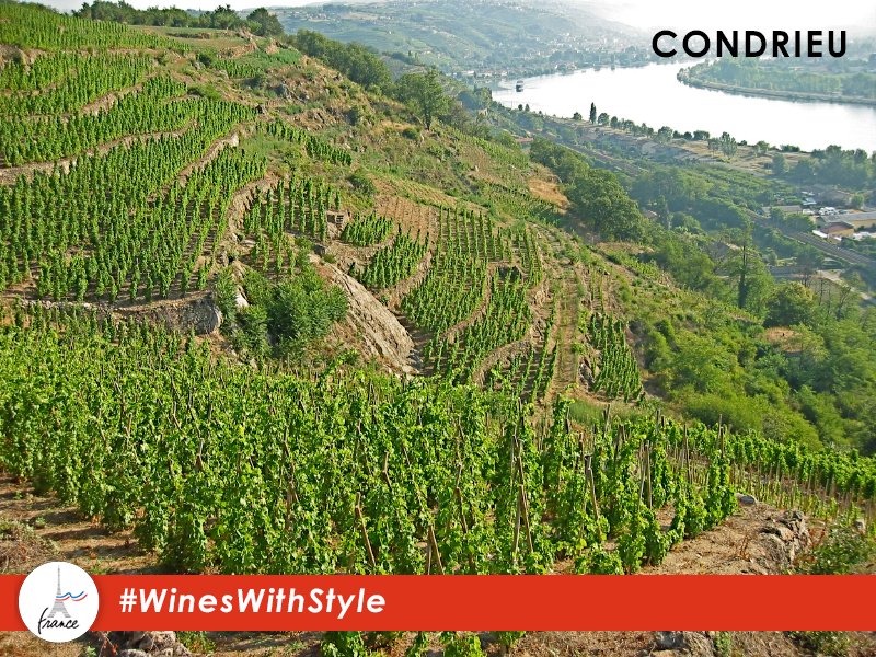 Condrieu vineyards cover only 105 hectares. The single grape variety used in Condrieu is viognier. #winelover