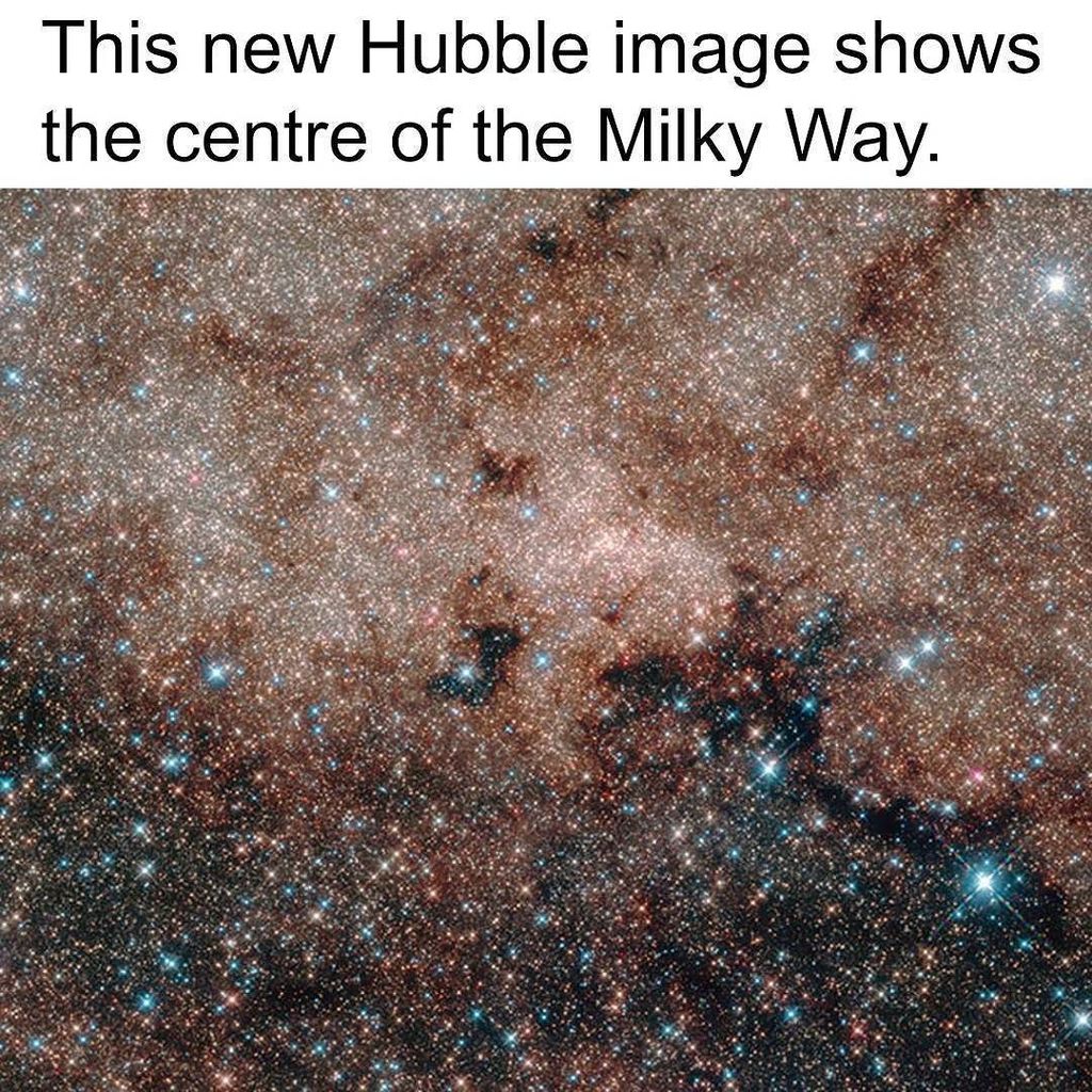 ScienceAlert's tweet photo. 😱 😱 This image contains more than half a MILLION stars. ✨ 
Image: NASA, ESA, and Hubble He… https://t.co/sE393gjVAK https://t.co/Gqk1SYVPkP