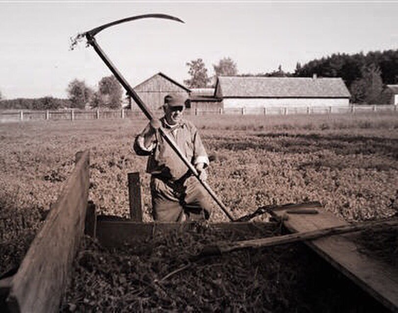PolishStandard's tweet photo. Polish Standard Wódka, here to remind you what damn good vodka, made by generational farmers tastes like. 

#TBT https://t.co/AS994E4gJs