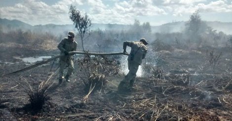 AGazetaES's tweet photo. Incêndio em #turfa pode ter sido causado por ação humana, diz Corpo de Bombeiros https://t.co/D6ctbX5vZz https://t.co/u5WUaF2br8