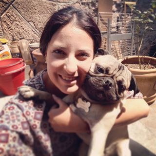Joy_PhotoCam's tweet photo. #SirWilliamThePug #siemprejuntos #pug #pugs #puglife #puglove #teamopug https://t.co/6Te70KENNa https://t.co/ONsEp7YIFm