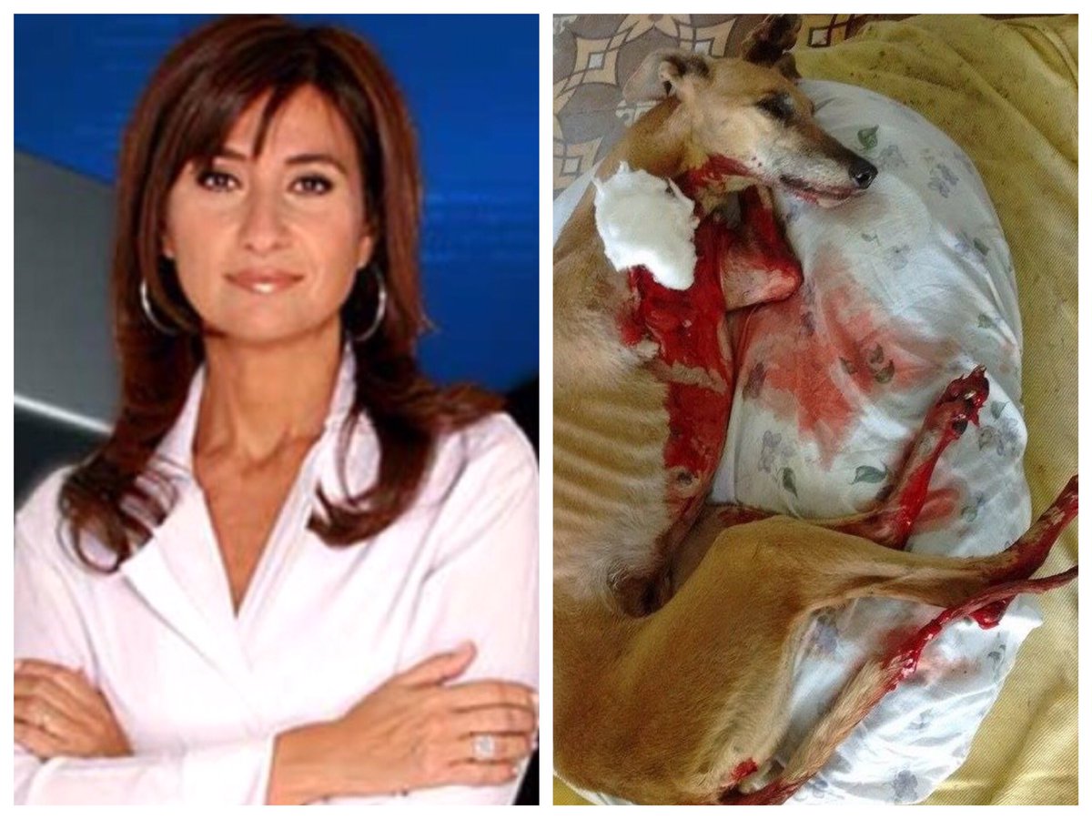 proyectogalgoar's tweet photo. Carreras hacia la muerte. Informe de @telenoche @marialauratv hoy 20 hs por el trece.@DelaSotaOk 🏁💉 https://t.co/akI8DIZsqd
