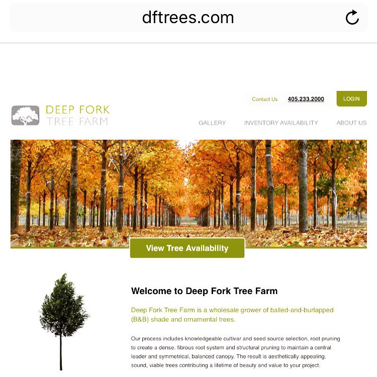 Dftrees's tweet image. New 'Above Ground Ready to Ship Availability' is updated and ready to check out at dftrees.com