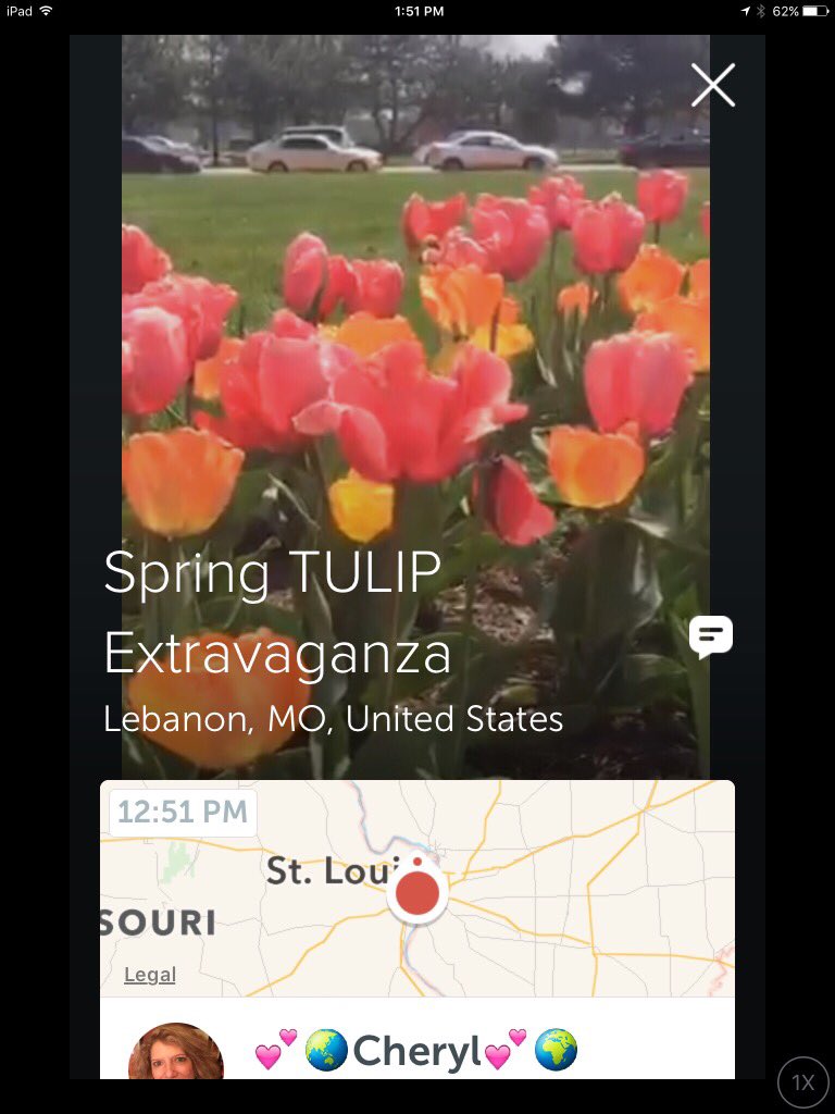 SusanToba's tweet photo. .@Cheryl66stl on #Periscope: Spring TULIP Extravaganza https://t.co/GI86ZrnGmX https://t.co/iuG6F7ie2l