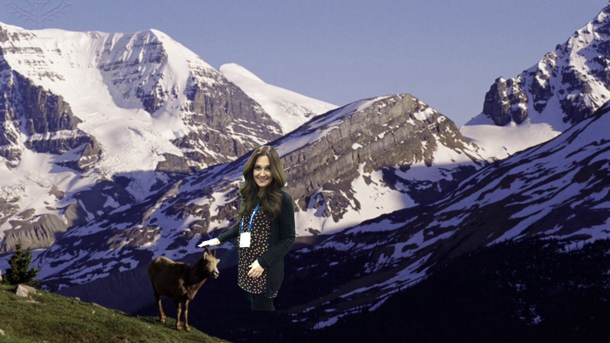 Kelli Johns tweet media