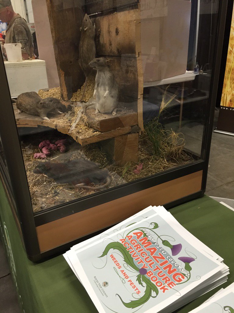 LauraPoile's tweet photo. #aggiedays make sure to stop by Rocky View County and learn why Alberta is rat free! https://t.co/4PgH0X15Ix