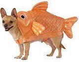 College: "you're only allowed to have a small fish in your dorm"
Me: