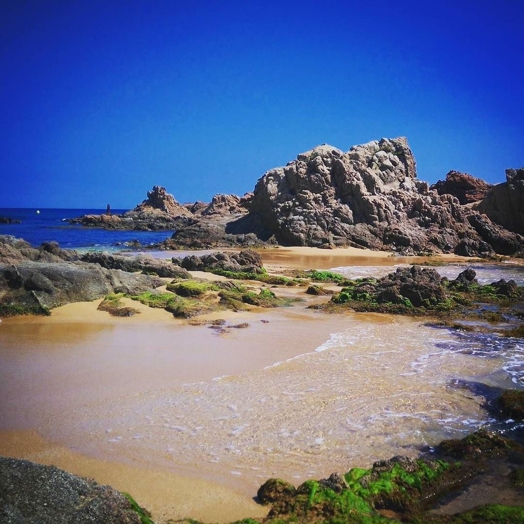 cat_testimo's tweet photo. #lloret2016 #lloretdemar #visitlloret #costabrava #costabravalover #incostabrava #installo… https://t.co/R5YUaQW9jS https://t.co/oQZnRK52RK