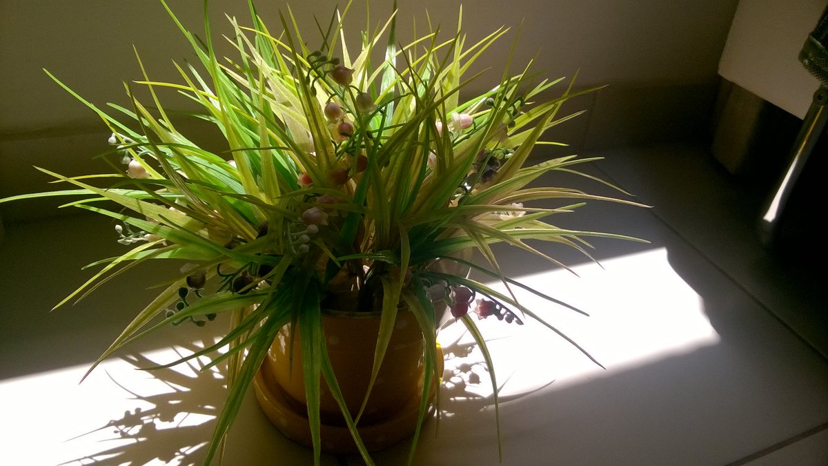 iDynamis's tweet image. @Mr_Wembley #windowsteam vou por a culpa na câmera do w10 hahaha