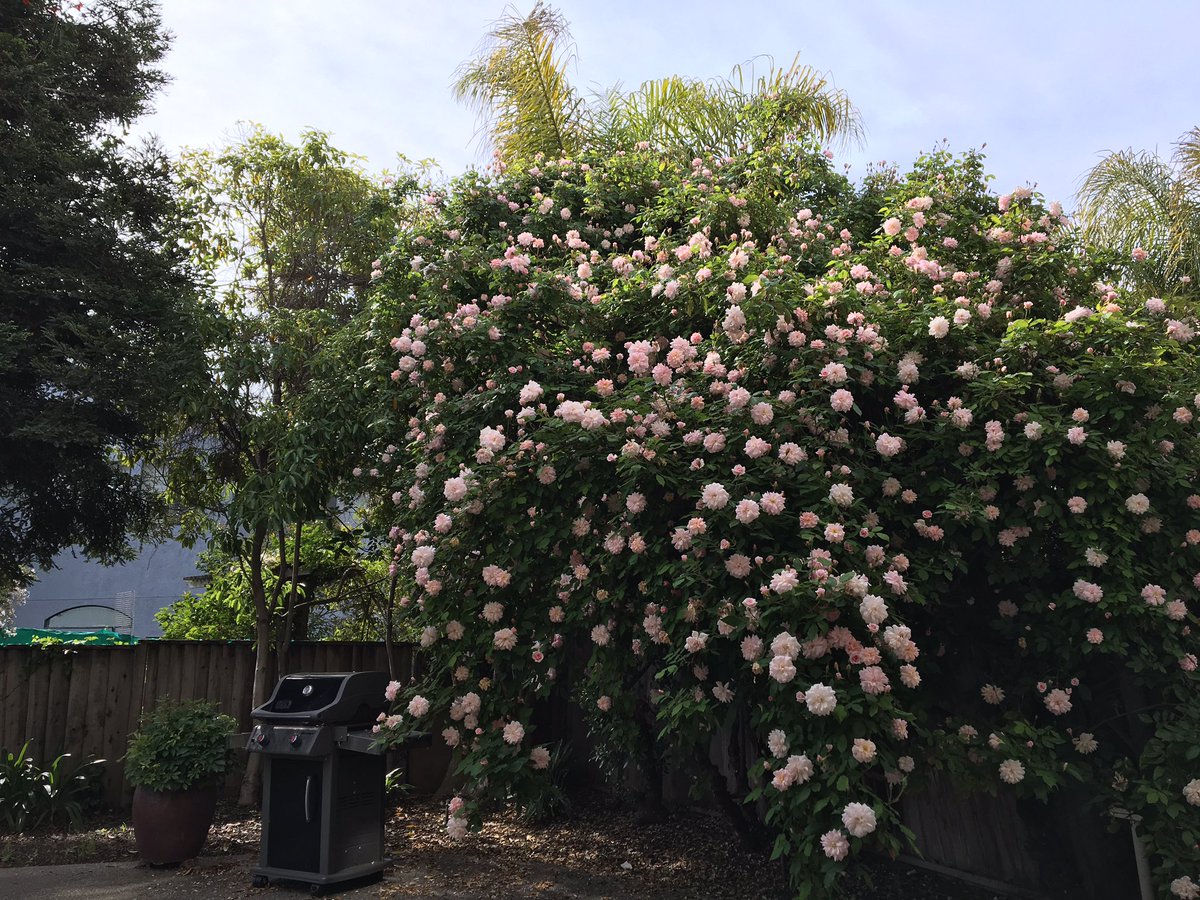 tst's tweet image. Be prosperous !