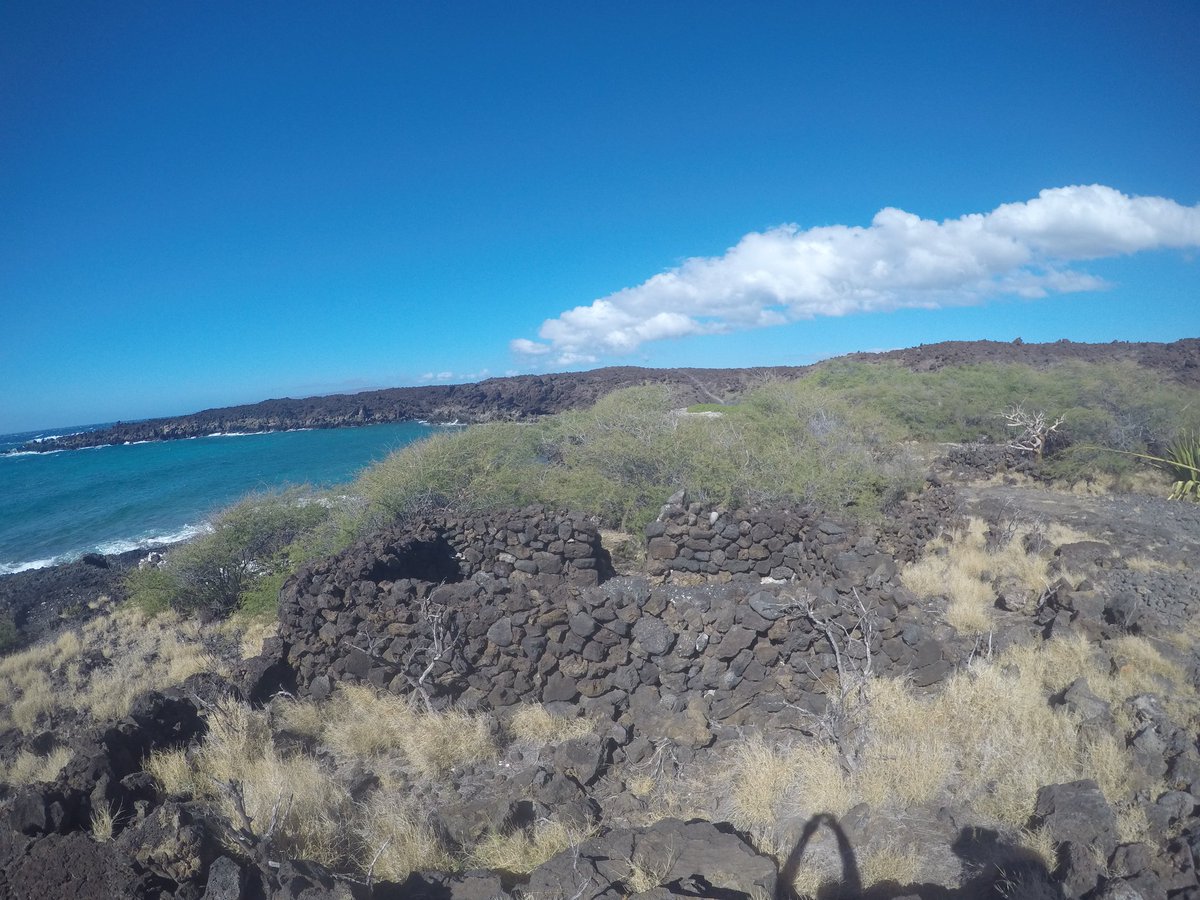 Honor the past as we move into the future.  I ka wā ma mua,  ka wā ma hope