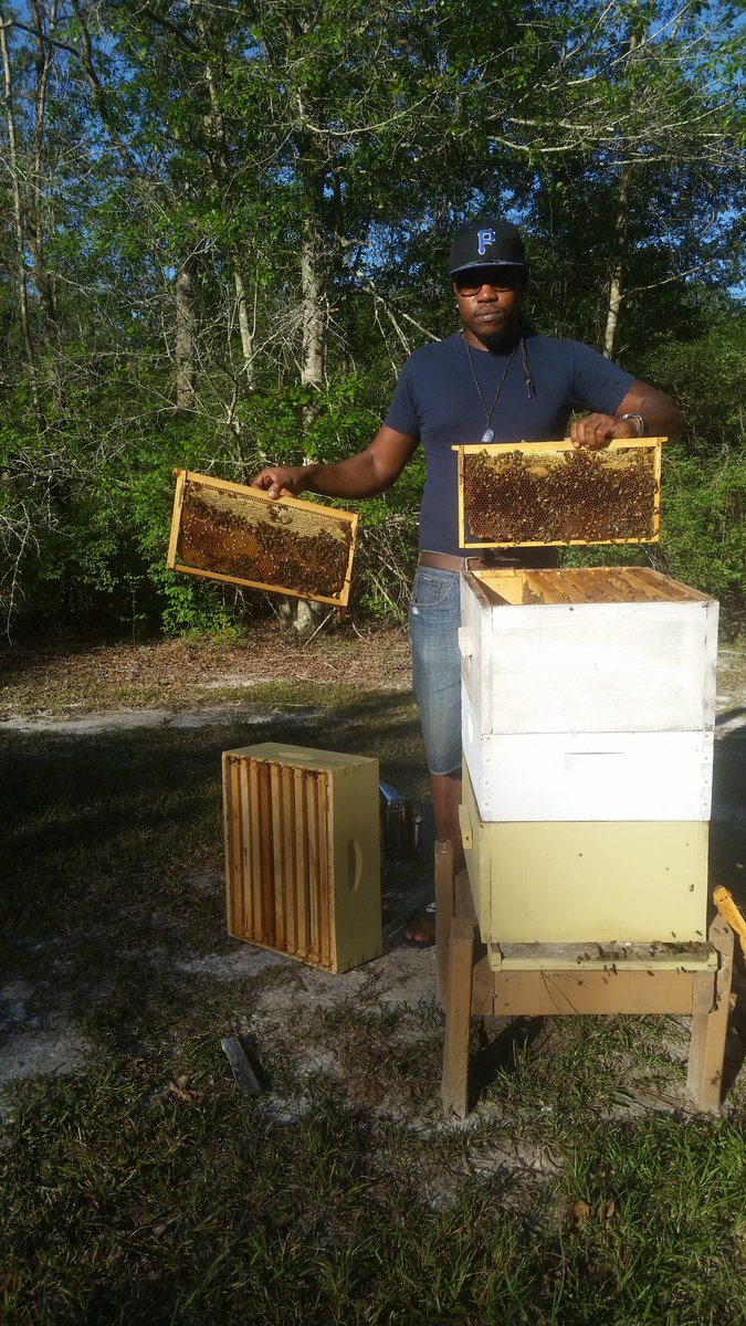 OxxBeekeeping's tweet image. #OxxBeekeeping #OneWithNature #HoneyBees InspectionDay #SaveTheBees #BeeComing