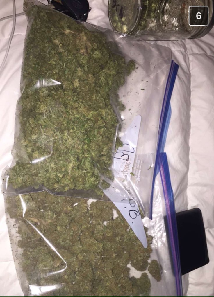 ashingmyblunt's tweet photo. Another submission 🍁🔥 https://t.co/HVwmwtGKfm