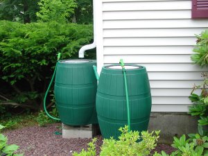 IndyDPW's tweet photo. Do you know what a rain barrel is and how they benefit you? Learn more: https://t.co/cwnJQZ92QJ
#StormWaterFriday https://t.co/ueC4VB3NDl