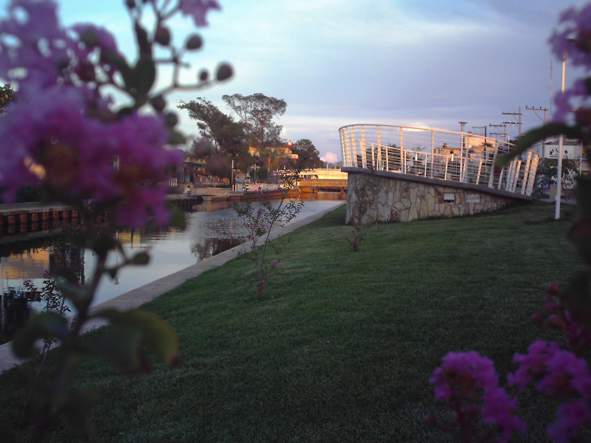 Este #findesemana ven y disfruta de la belleza de sus jardines y de los paseos en pontón del Paseo La Cortadura