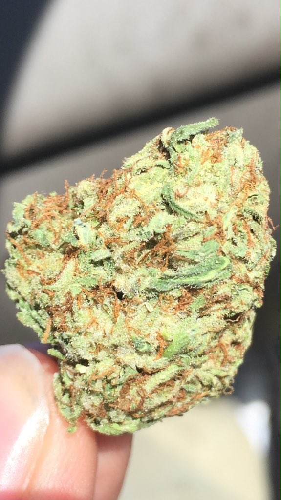 ashingmyblunt's tweet photo. Some OG https://t.co/FIt1cG15vy