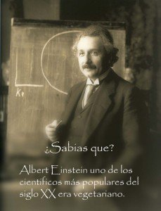 veganoki's tweet photo. ¿Sabíais que Albert Einstein era vegetariano?
Podéis averiguar más cosas aquí https://t.co/NWvAoMW5im https://t.co/04Tbd2hS9B