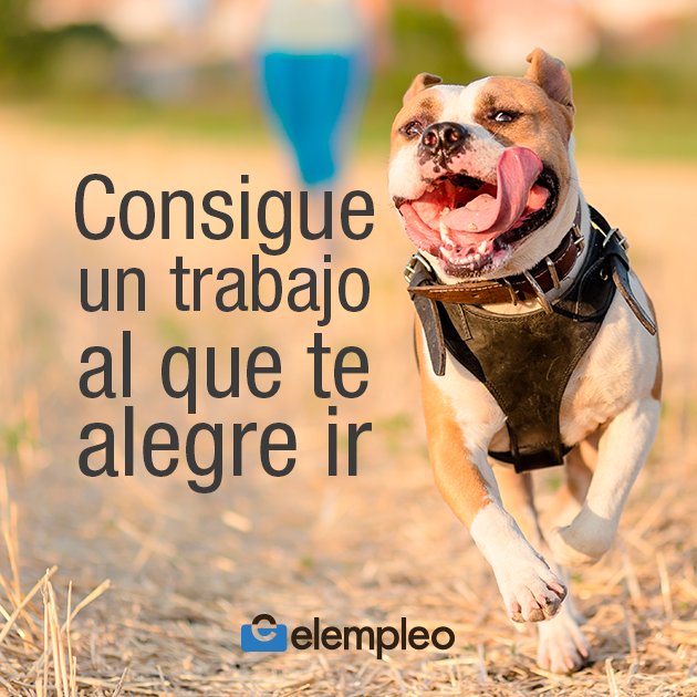 elempleocom's tweet photo. Queremos que encuentres el mejor empleo: https://t.co/4Yl6slLVwI https://t.co/37eThqGdfp