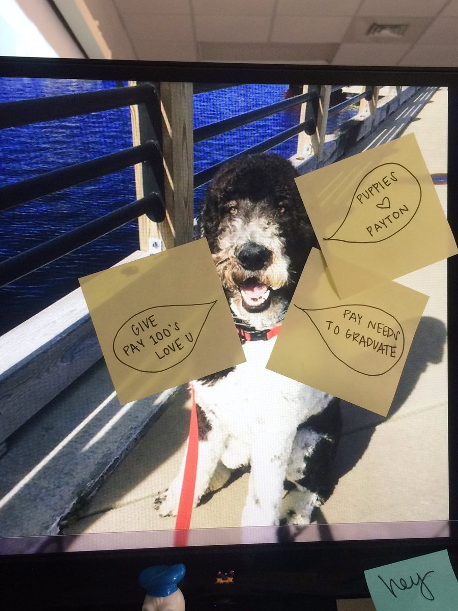 when ur teach has her pet as her desktop background and u needa graduate