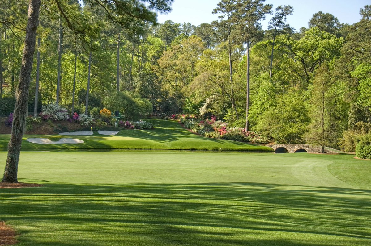 MyTPI's tweet photo. Celebrate being here, but recognize the work that made it possible. The destination is prettier than the journey. https://t.co/KYIOoKGOY3