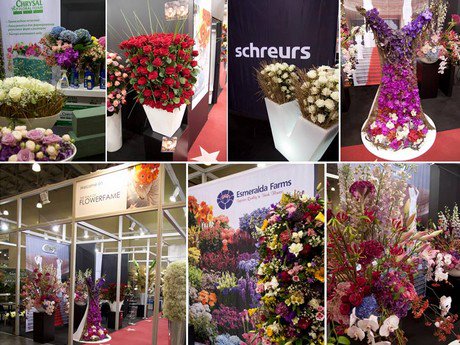 “Flower Expo Ukraine 2016 completely sold-out” <a href="/FlowerExpoUA/">Flower Expo Ukraine</a>
floraldaily.com/article/4664/F…