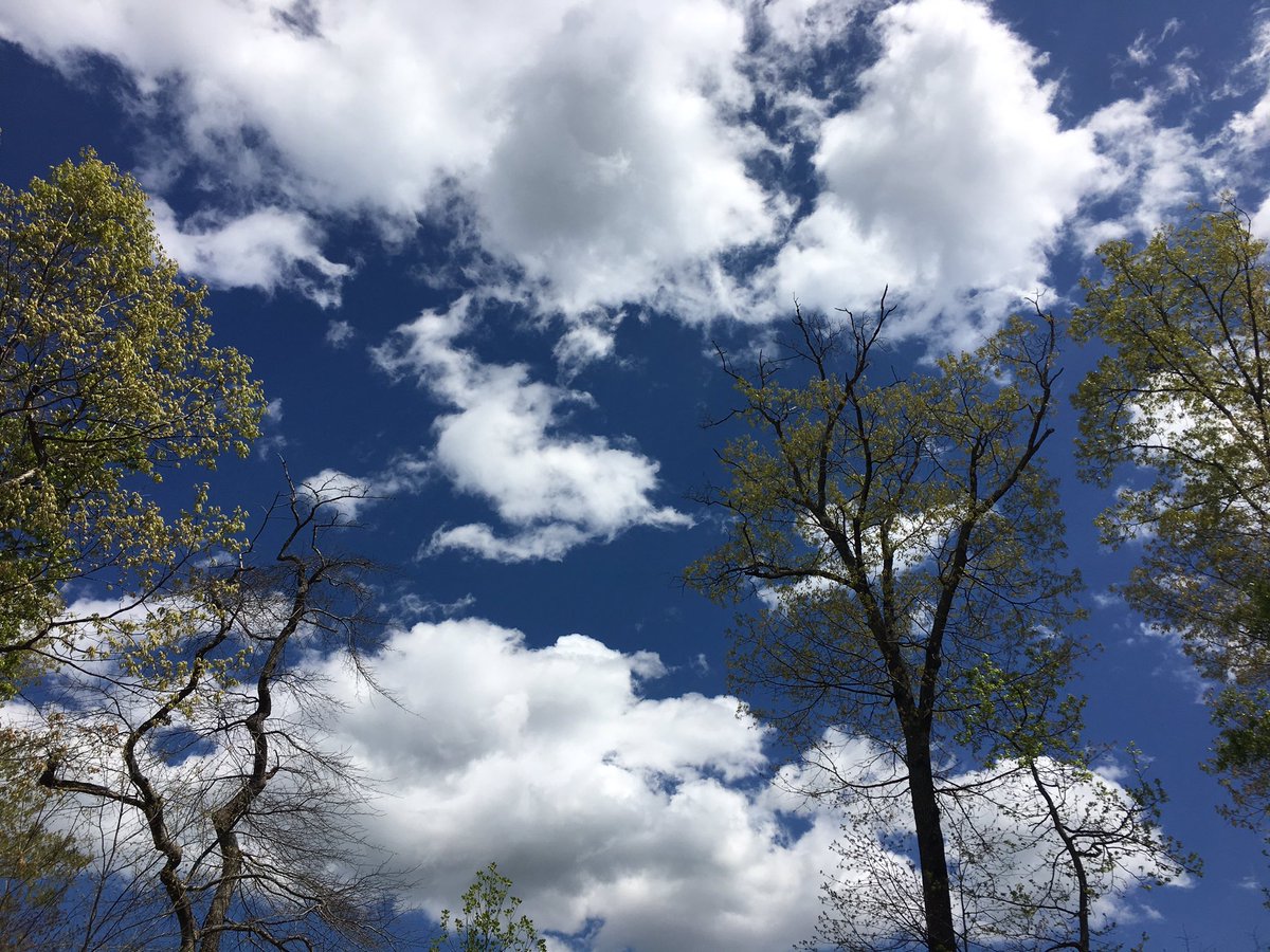 godsquito's tweet photo. some #cloudfinds https://t.co/FgQxi67TOQ