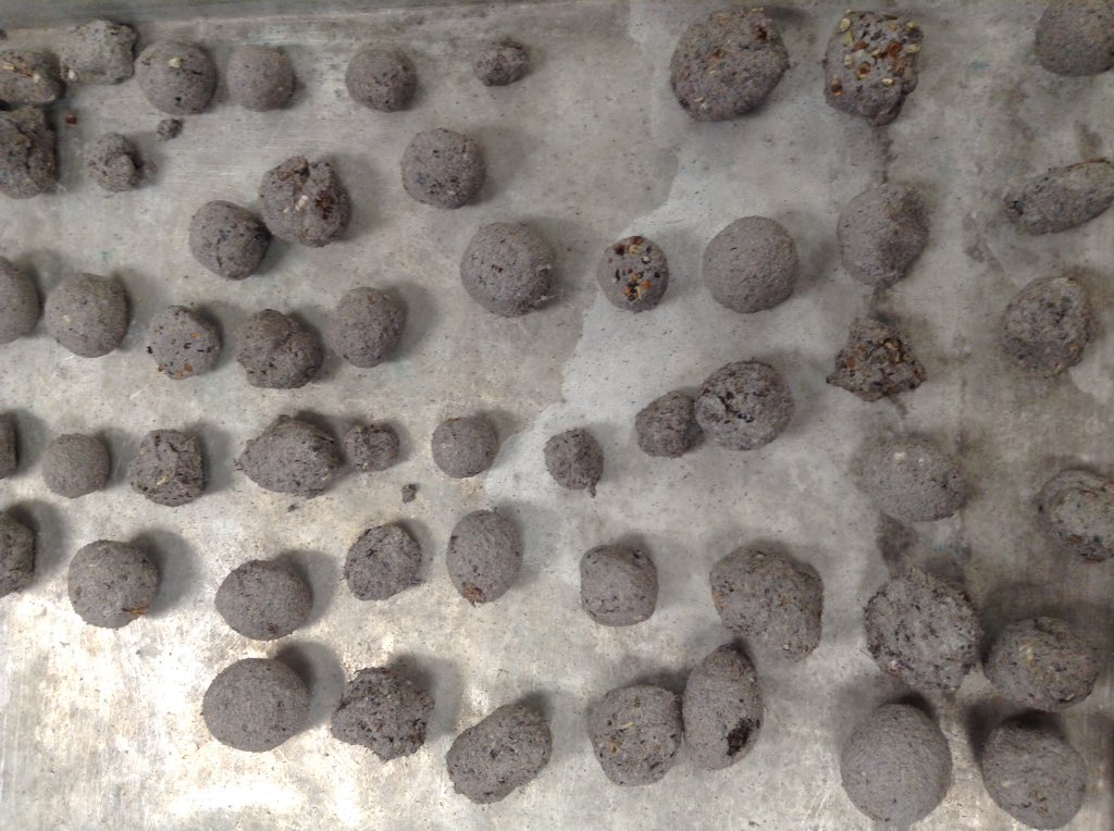 ArtAtLee's tweet photo. Lee Auction Sat. Bleu 6-8.You need 1st gr hand crafted wildflower seed balls!!@LEEexplorers @LeeRoom203 @LeeRoom101 https://t.co/mBgDhlJgpN