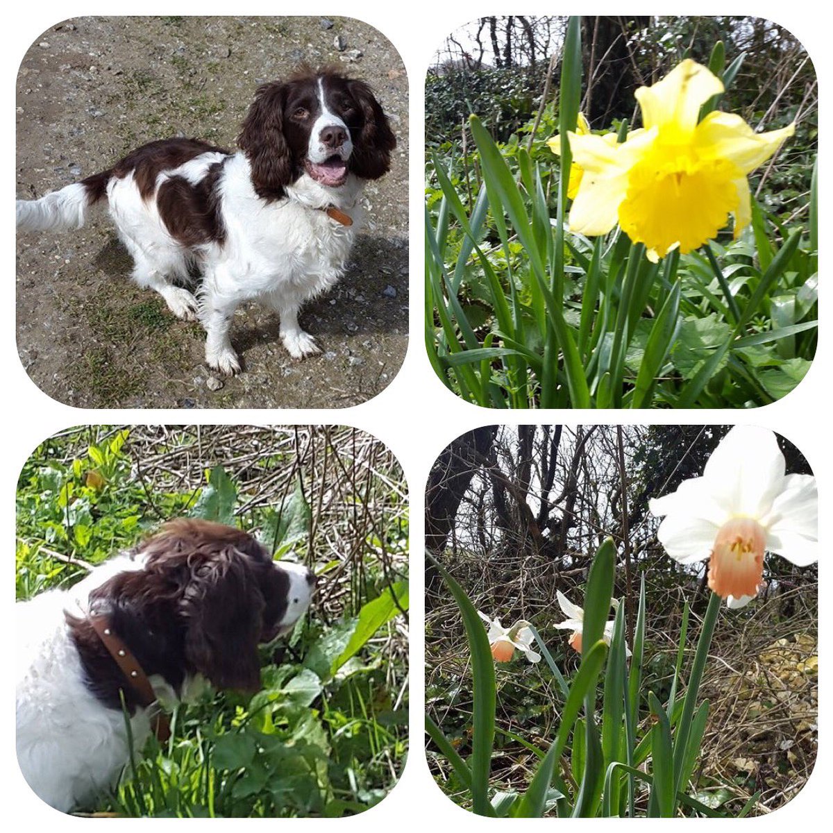 Trudeestweets's tweet photo. @BestLovedHotels #BestLovedLife #SpringTime https://t.co/nHxRjMOUKs