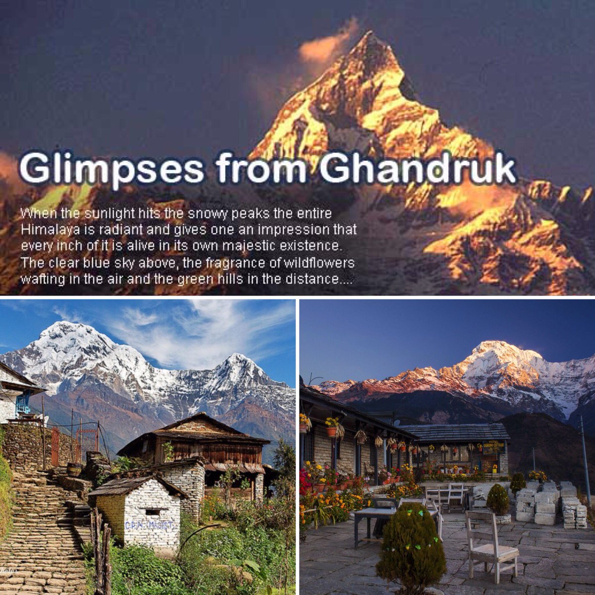 alebhanu09's tweet photo. Ghandruk, the gateway to Mt. Annapurna and Mt. Machapuchhre.
#Annapurna_Sanctuary_Area 
#Trekking_Route 🙏🇳🇵🙏 https://t.co/e6sSM66fVX