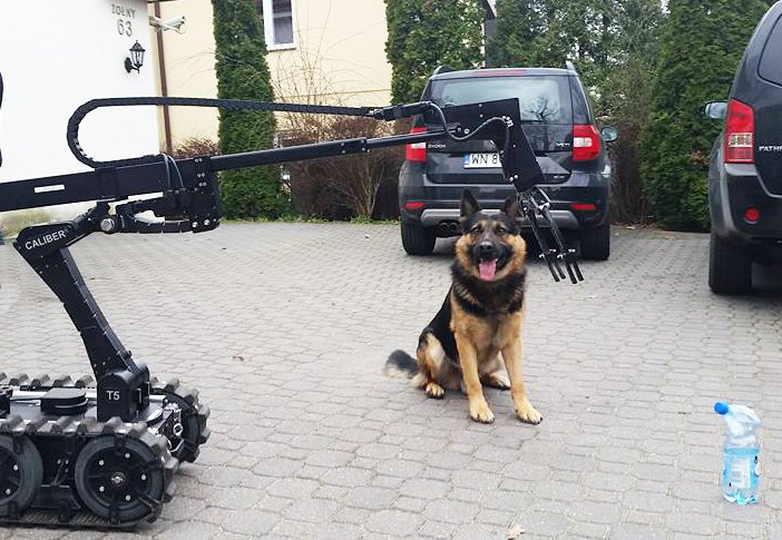 ICORTechnology's tweet image. CALIBER® T5 making friends with a K9.
#swatrobot #tacticalrobot #eodrobot