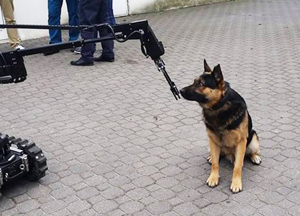 ICORTechnology's tweet image. CALIBER® T5 making friends with a K9.
#swatrobot #tacticalrobot #eodrobot