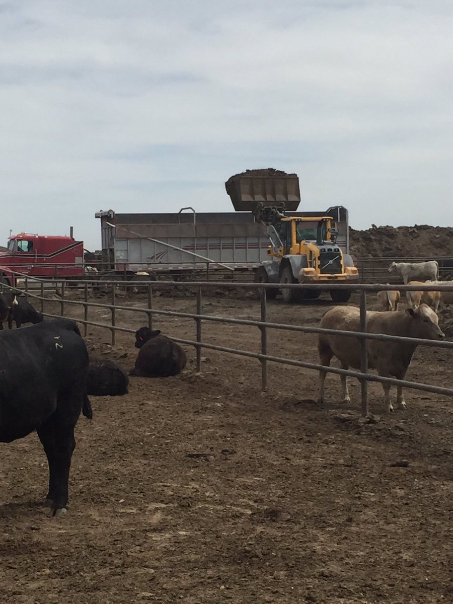 Link13Dave's tweet photo. Working to provide our cattle with ideal pen conditions and supply local farmers with fertilizer. #sustainability https://t.co/qFsWZFQFh0