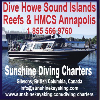 DiveHoweSoundBC's tweet image. Dive "Howe Sound", BC Canada.  Over 45 Dive Sites &amp;amp; HMCS Annapolis. Reef, Islands &amp;amp; 1 Wreck (HMCS Annapolis).