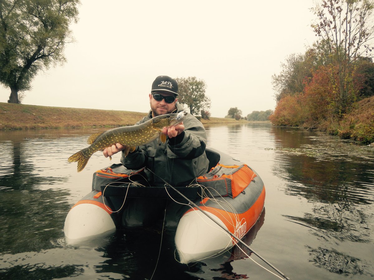 JustFlyfishing's tweet image. Nice small pike but great colors 
#pikeonfly #flyfishing #justflyfishing #bellyboat