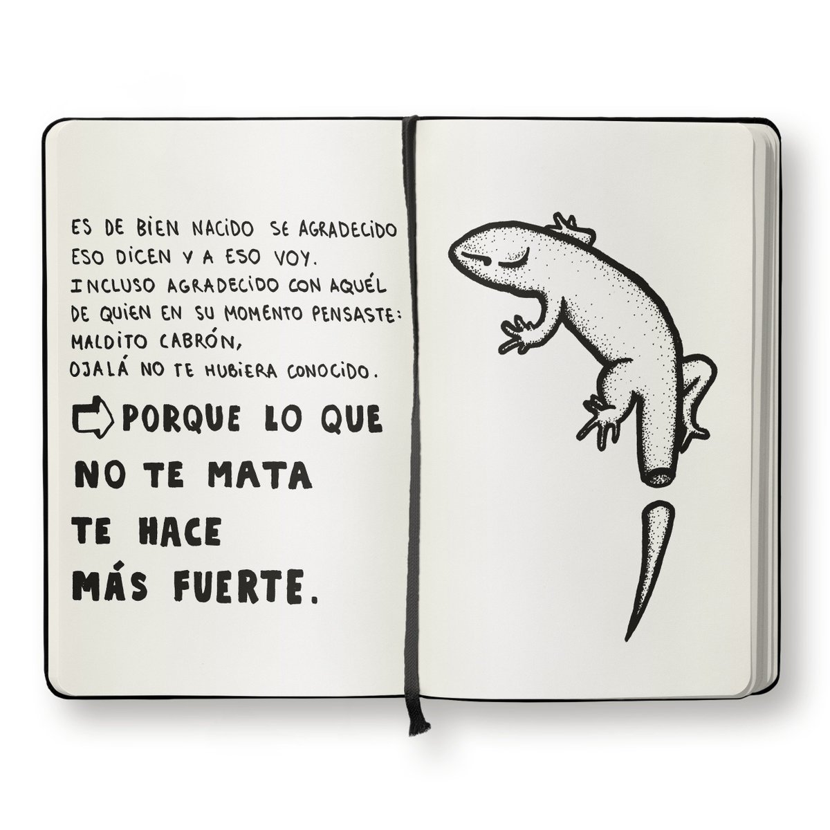 VIVIR ES LA POLLA tweet media