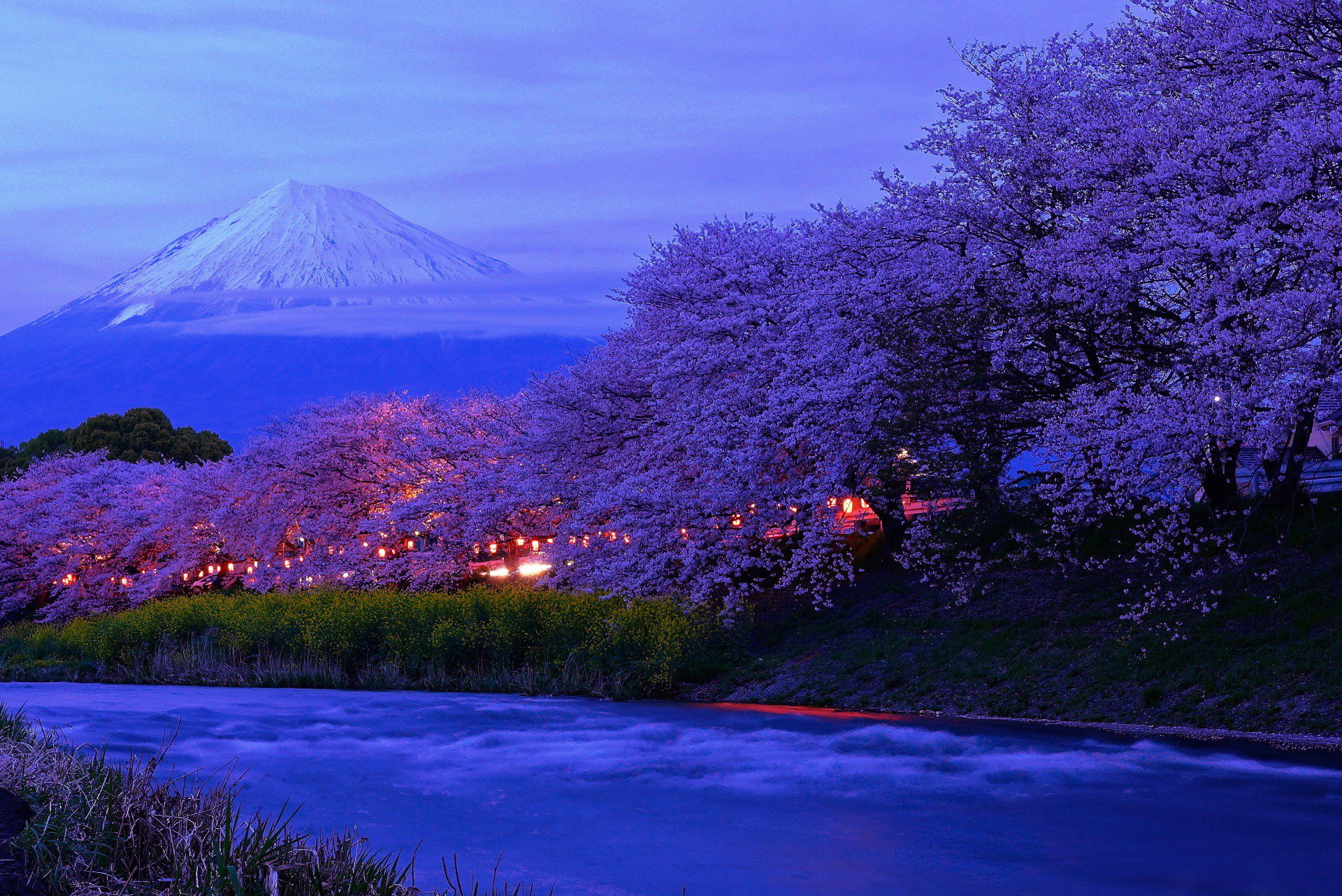 Photo Taro限定浮上中 O 満開の桜と 富士山 宵の部 おはようございます 早起きしたのでupしましたヽ ノ 龍巌淵 T Co K7vhlshadr Twitter