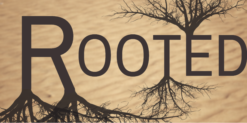rootedmi tweet picture