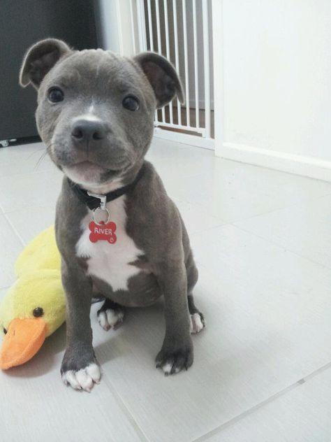 I shall call you cutie!