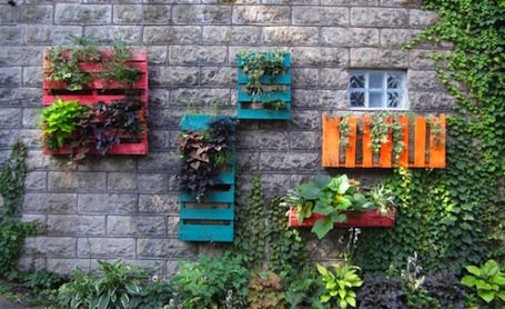 Love the pallet vertical gardens here #UHS #urbangarden #urbanfarm #greenthumbs #gardens