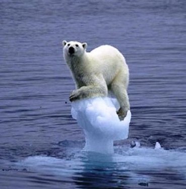 dabernathy's tweet image. The feeling when you live in Asheville but are surrounded by @PatMcCroryNC's North Carolina #AVL #WeAreNotThis #HB2